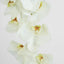 Large Moth Orchid Natural Touch Stem White - Pack of 12
