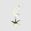 Real Touch Phalaenopsis Arrangement in Zara Pot 46cm