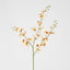 Lilly Dancing Orchid
98cm Cream