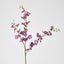 Lilly Dancing Orchid 98cm Pink