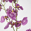 Lilly Dancing Orchid 98cm Pink