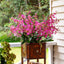 Lilly Dancing Orchid 98cm Pink