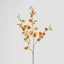 Lilly Dancing Orchid 98cm Orange
