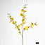 Lilly Dancing Orchid 98cm Yellow - Pack of 12