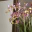 Deluxe Potted Cycnoches Orchid