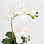 Spike Real Touch Potted Phalaenopsis Orchid SML
