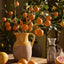 Orange Fruit Stem