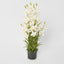 Real Touch Potted Cymbidium 90cm