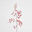 Dancing Orchid 93cm Burgundy