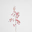 Dancing Orchid 93cm Burgundy