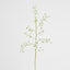 Dancing Orchid 93cm White
