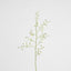 Dancing Orchid 93cm White
