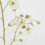 Dancing Orchid 93cm White