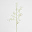 Dancing Orchid 93cm White
