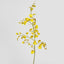 Dancing Orchid 93cm Yellow
