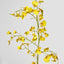Dancing Orchid 93cm Yellow