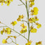 Dancing Orchid 93cm Yellow