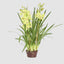 Artificial Cymbidium Giant Paper Pot 110cm Lt.Gre - House of Isabella AU