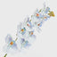 Ripple Phalaenopsis Stem Blue - Pack of 12