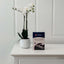 Fabric Lounge Care Pack 1 Seat