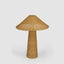 Apex Rattan Table Lamp & Shade