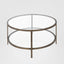Palladium Glass and Brass Coffee Table