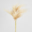Natural Pampas Spray Stem with Leaves - Pack of 12