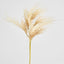 Natural Pampas Spray Stem with Leaves - Pack of 12