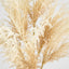 Natural Pampas Spray Stem with Leaves - Pack of 12