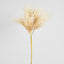 Natural Pampas Spray Stem with Leaves - Pack of 12