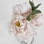 Peony Arrangement in Vase 23cm Pink (Set of 6)