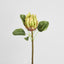 King Protea 60cm Green