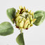 King Protea 60cm Green
