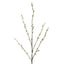 Pussy Willow twig Spray Cream