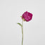 Peony Spray 60cm Fuchsia - Pack of 12