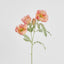 Poppy Stem 82cm Coral Pink