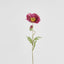 Poppy Stem 68cm Plum