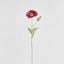 Poppy Stem 68cm Plum