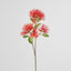 Protea Leucospermum 52cm Red
