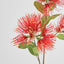 Protea Leucospermum 52cm Red