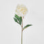 Peony Half Open 70cm White (Set of 12)