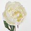 Peony Half Open 70cm White (Set of 12)
