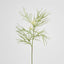 Protea Spider 90cm White