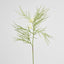 Protea Spider 90cm White
