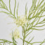 Protea Spider 90cm White