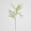 Protea Spider 90cm White