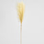 Pampas Spray 1.2m