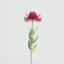 Pincushion Flower Stem 58cm Red