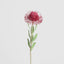 Pincushion Flower Stem 58cm Red