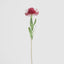 Pincushion Flower Stem 58cm Red